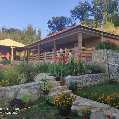 Vila Vera Borsko Jezero Dış mekan fotoğraf