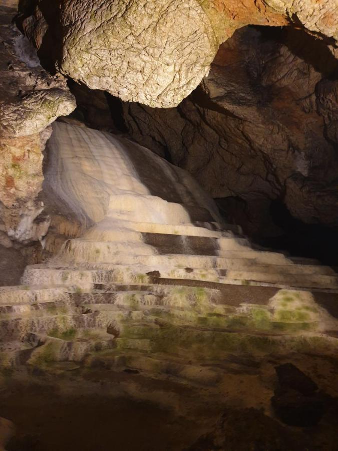 Vila Vera Borsko Jezero Dış mekan fotoğraf