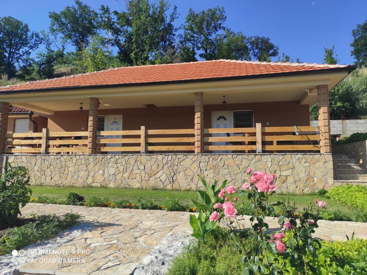 Vila Vera Borsko Jezero Dış mekan fotoğraf