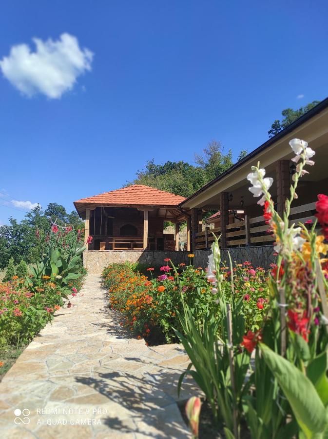 Vila Vera Borsko Jezero Dış mekan fotoğraf